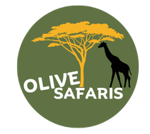  OLIVE SAFARIS UGANDA